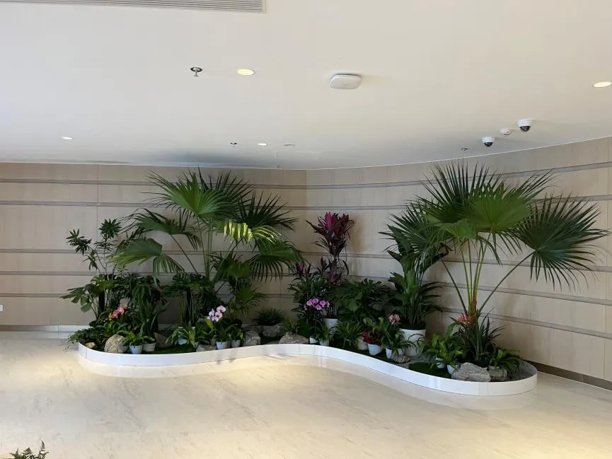 鄞州绿化养护设计